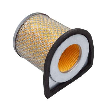 Elemento Filtro De Ar Fram Cbx 250 01 A 08 (ca12203)
