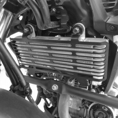 Protetor Radiador CB300F Twister 2023+ SPTO696