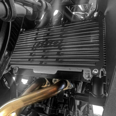 Protetor Radiador Ninja650 2017+ Spto724 Scam