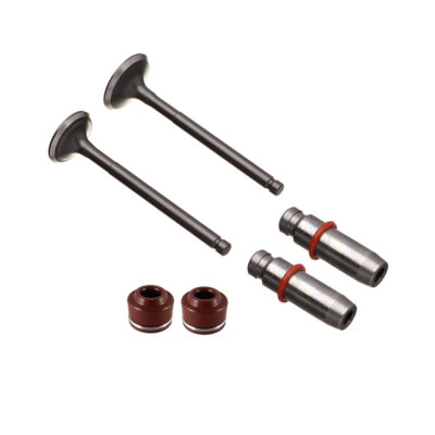 Kit Valvula Ww3 (6pcs) Biz 125 05/