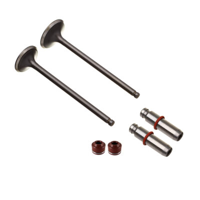 Kit Valvula Ww3 (6pcs) Cg 125 02/08 Oversize +0.20mm