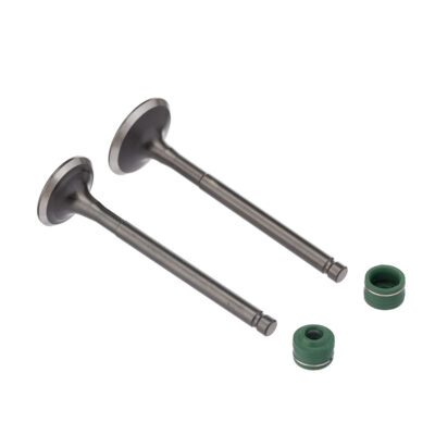Kit Valvula E Retentor Ww3 (4pcs) Biz 125 05/
