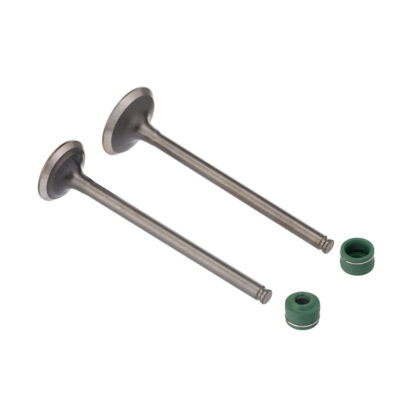 Kit Valvula E Retentor Ww3 (4pcs) Cb 250f Twister 16/22