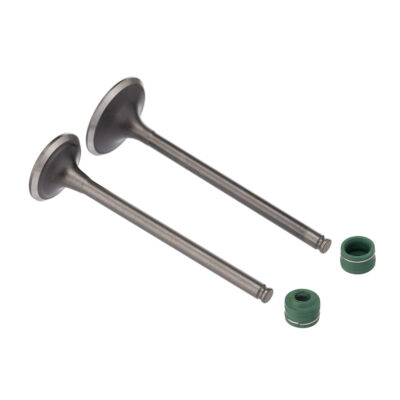 Kit Valvula E Retentor Ww3 (4pcs) Cbx 250 - Cb 300r