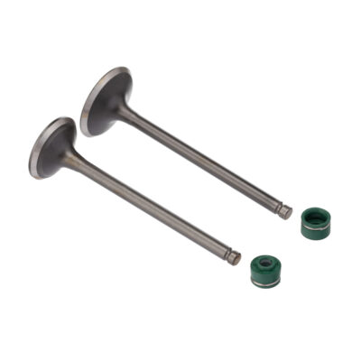 Kit Valvula E Retentor Ww3 (4pcs) Cbx 200 94/02
