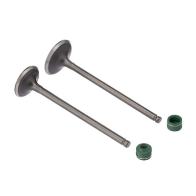 Kit Valvula E Retentor Ww3 (4pcs) Cg 125 02/08