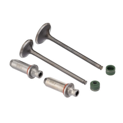 Kit Valvula Ww3 (6pcs) Cbx 250 - Cb 300r Retentor Verde