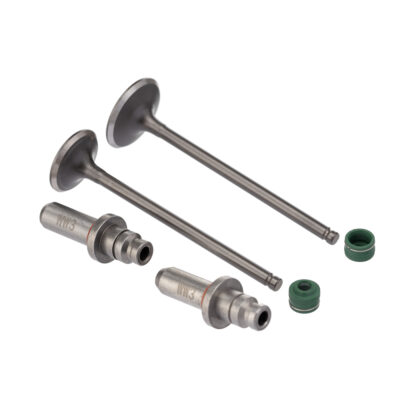 Kit Valvula Ww3 (6pcs) Cg 125 02/08 Retentor Verde