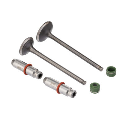 Kit Valvula Ww3 (6pcs) Cg 125 09/18 Retentor Verde