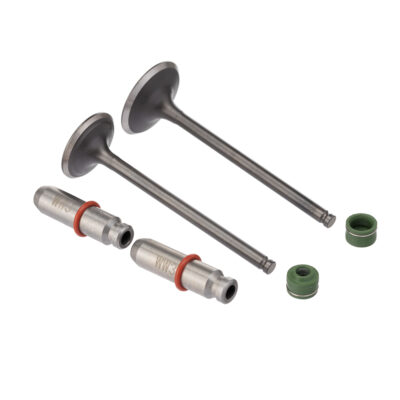 Kit Valvula Ww3 (6pcs) Cg 150 Over +0.10mm Retentor Verde