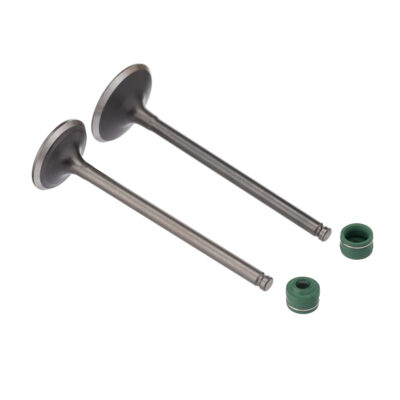 Kit Valvula E Retentor Ww3 (4pcs) Cg 160 16/ - Bros 160 15/