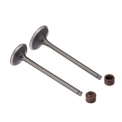 Kit Valvula E Retentor Ww3 (4pcs) Cg 150 04/ Ret. Marrom